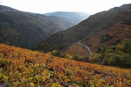 Ruta: Canón do Sil en Ourense