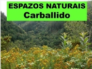 Espazos Naturais: Caballido