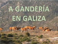 A gandería en Galiza