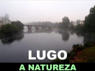 Comarcas de Galiza: Lugo