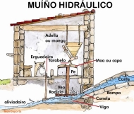 Muíño hidráulico (1)