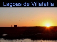 Lagoas de Villafáfila