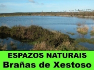 Espazos Naturais: Brañas de Xestoso