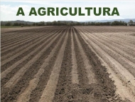 A agricultura