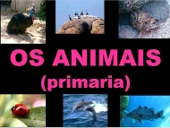 Os animais. Educación Primaria