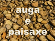 A auga na cultura galega. Auga e paisaxe