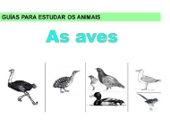 Animais: as aves