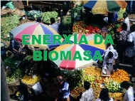 Enerxía da biomasa