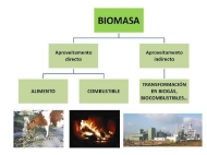 Biomasa