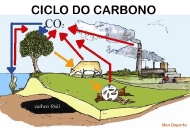 ciclo do carbono