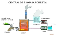 central de biomasa