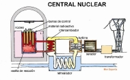 central nuclear