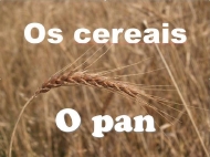 Os cereais. O pan (Primaria)