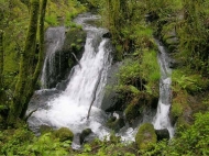 Ruta: Fervenzas do río Chavielos(Brión)