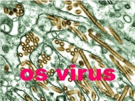 Os virus