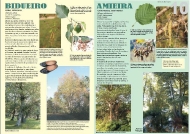 Exposición As árbores de Galicia 10