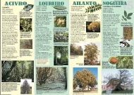 Exposición As árbores de Galicia 15