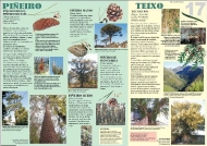 Exposición As árbores de Galicia 17