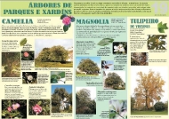 Exposición As árbores de Galicia 19