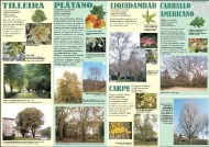 Exposición As árbores de Galicia 20
